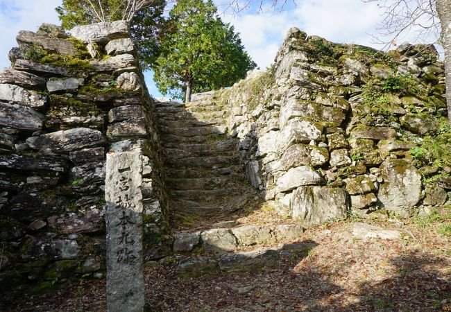 🏯 이치노미야 성터(이치노미야 조세키) 이미지 1